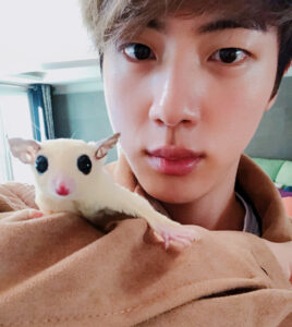 21 Btsのペットの名前まとめ 犬好きメンバーが多めでエピソードや可愛い画像も