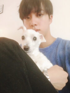 21 Btsのペットの名前まとめ 犬好きメンバーが多めでエピソードや可愛い画像も News Web