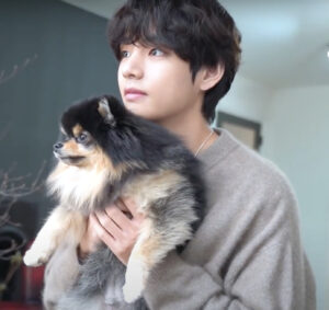 22 Btsのペットの名前まとめ 犬好きメンバーが多めでエピソードや可愛い画像も Coco Point